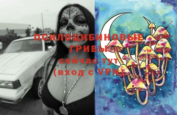 бошки Иннополис