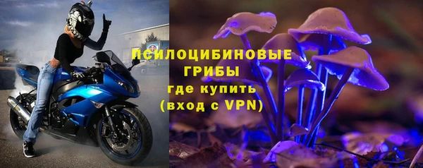 мдма Инта